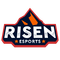 risen esports logo - GIF animasi gratis