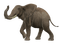 elefante - png ฟรี GIF แบบเคลื่อนไหว