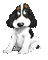 MMarcia gif cão chien dog mignon - GIF animado grátis Gif Animado