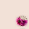 bg-with pink flowers - gratis png animerad GIF