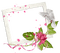 Kaz_Creations Deco Frames Flowers Bird  Frame - darmowe png animowany gif