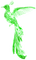 Fantasy.Bird.Green - Free PNG Animated GIF