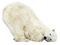 Galoot Bear White - Bogusia - png gratis GIF animasi