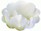 minou-flower-white animated - Δωρεάν κινούμενο GIF κινούμενο GIF