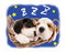 the dog line sticker - δωρεάν png κινούμενο GIF