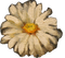 flower painting - png gratuito GIF animata
