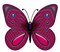 papillon - Free PNG Animated GIF
