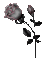 rosa - Darmowy animowany GIF animowany gif