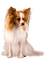 Hond - kostenlos png Animiertes GIF