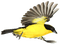 birds katrin - png gratuito GIF animata