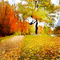 soave background animated autumn painting tree