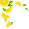 lemon slices Bb2 - PNG gratuit GIF animé