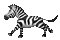 zebra  by nataliplus - GIF animé gratuit GIF animé