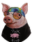 pig - gratis png animerad GIF