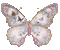dulcineia8 borboletas