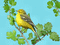 oiseau - Nemokamas animacinis gif animuotas GIF
