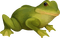 Kaz_Creations Frogs Frog