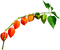 Leaves.Orange.Green - zadarmo png animovaný GIF