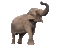 elephant bp - GIF animé gratuit GIF animé