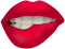 mouth - PNG gratuit GIF animé