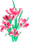 Flowers.Pink - kostenlos png Animiertes GIF