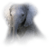 Kaz_Creations Elephants Elephant - png gratuito GIF animata