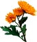 Orange.Fleurs.Flowers.garden.Victoriabea - PNG gratuit GIF animé