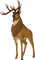 bambi milla1959 - zadarmo png animovaný GIF