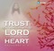 Proverbs 3 5 Trust in the Lord - bezmaksas png animēts GIF