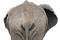 Kaz_Creations Elephant - bezmaksas png animēts GIF