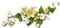 Green white flowers deco [Basilslament] - PNG gratuit GIF animé