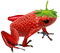 strawberry froggy