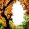 autumn frame by nataliplus - png gratuito GIF animata