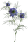 Purple.Flowers.Fleurs.Victoriabea - Δωρεάν κινούμενο GIF