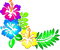 hawaiian bp - Free PNG Animated GIF