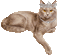 cecily-chat roi animé