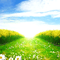 Y.A.M._Spring background - ilmainen png animoitu GIF