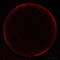 Moon - Darmowy animowany GIF animowany gif