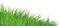 grass----gräs - ücretsiz png animasyonlu GIF