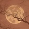 Brown Moon & Branches - PNG gratuit GIF animé