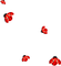 soave  ladybug deco red - Free PNG Animated GIF