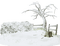 cecily-arbre mort hiver