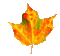 Leaf - Zdarma animovaný GIF animovaný GIF