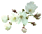 açan çiçek - Ücretsiz animasyonlu GIF animasyonlu GIF