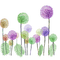 multicolored flowers Bb2 - png gratis GIF animado