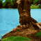 tree - Ingyenes animált GIF animált GIF