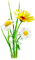 Y.A.M._Summer Flowers Decor - PNG gratuit GIF animé