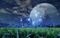 anime night - Free PNG Animated GIF