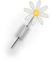 Kaz_Creations Deco Flower Pin Colours - nemokama png animuotas GIF