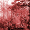 Red Forest Background - Ücretsiz animasyonlu GIF animasyonlu GIF